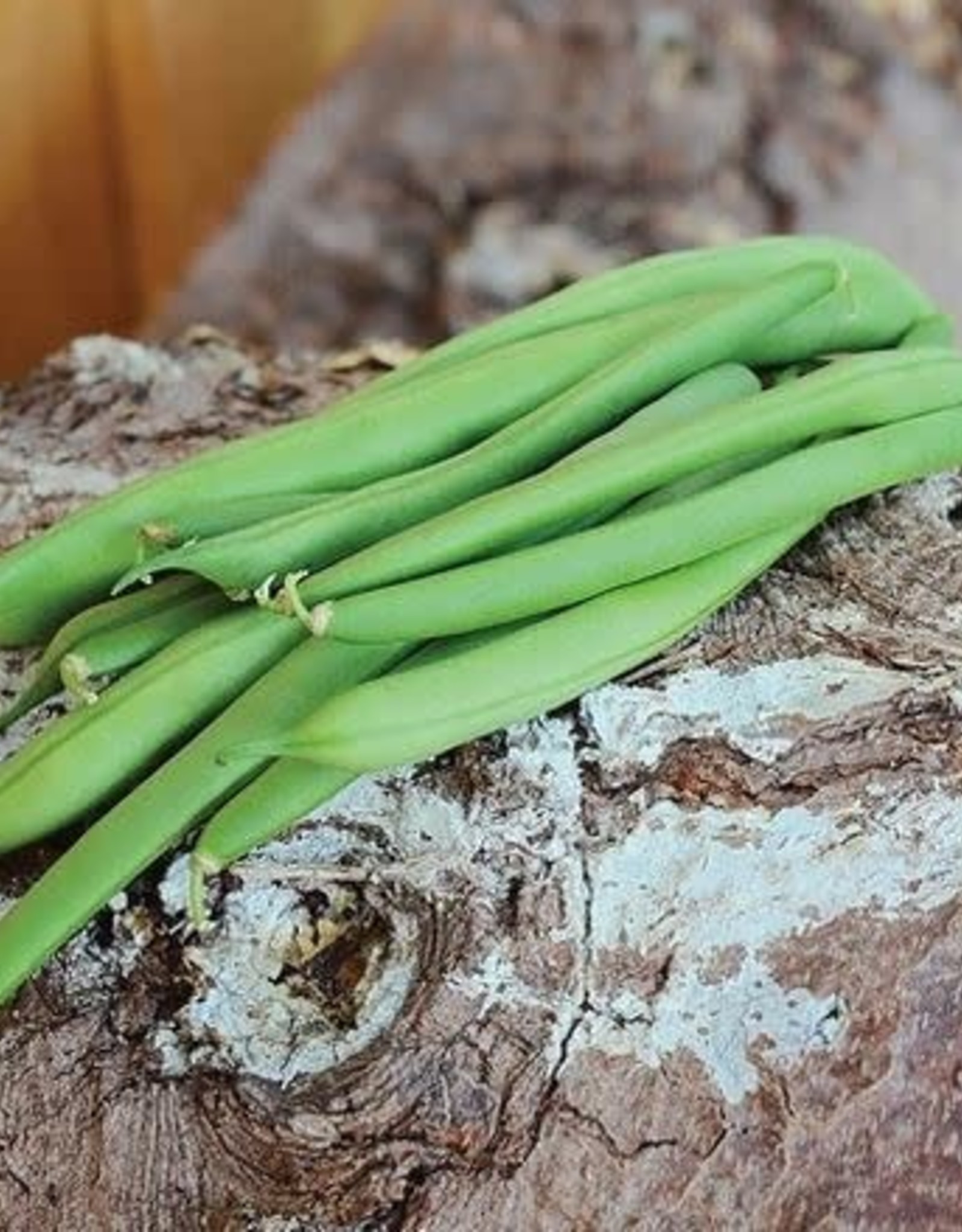 Territorial Seed Company BEAN KENTUCKY BLUE 1 ounce