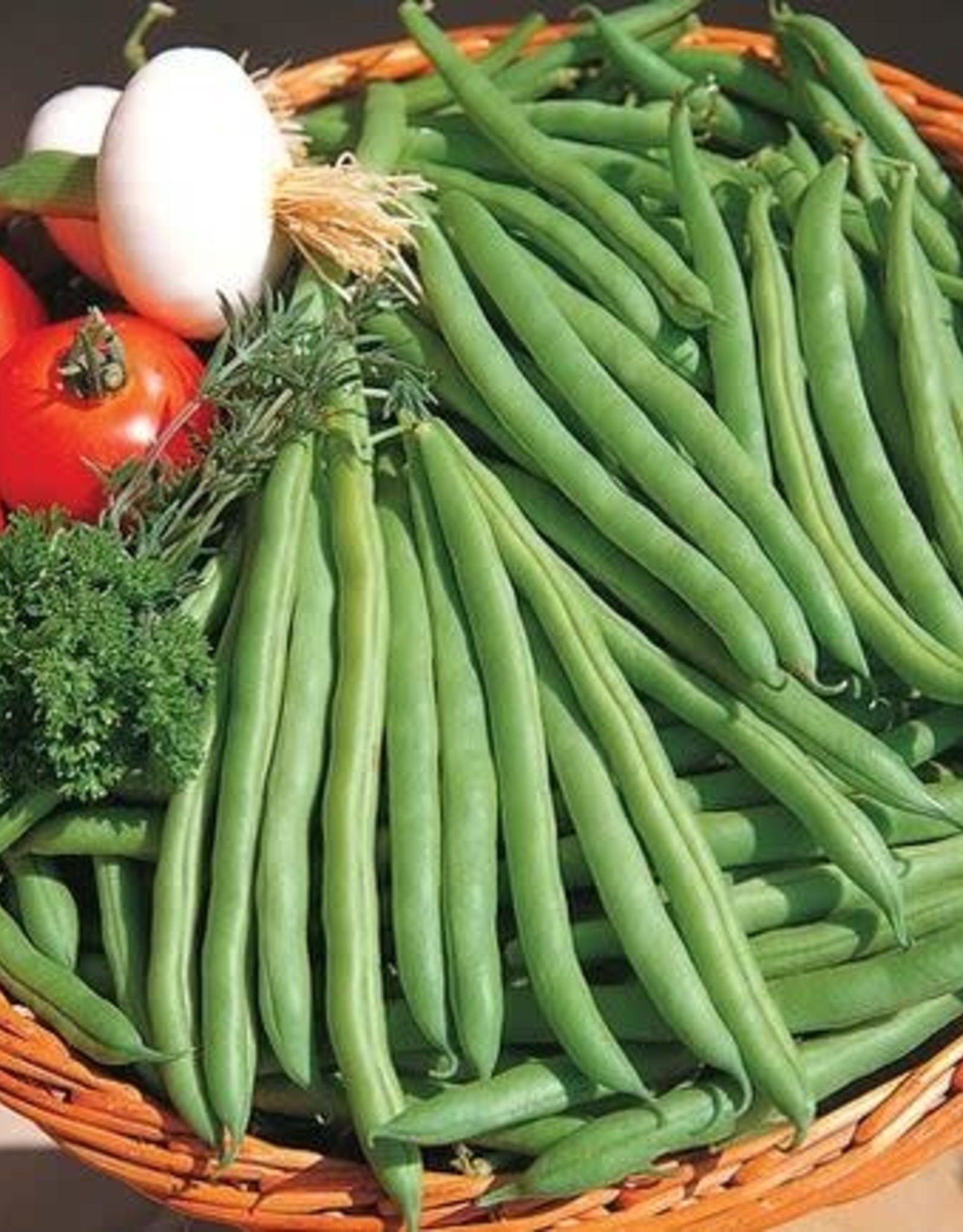 Territorial Seed Company BEAN SPEEDY 1 ounce