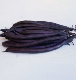 BEAN PURPLE QUEEN IMPROVED 1 ounce