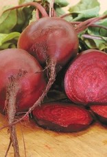 Territorial Seed Company BEET EARLY WONDER TALL TOP 5 grams