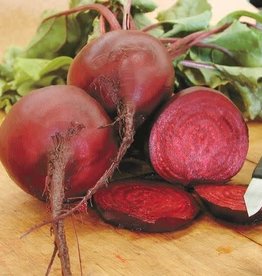 Territorial Seed Company BEET EARLY WONDER TALL TOP 5 grams