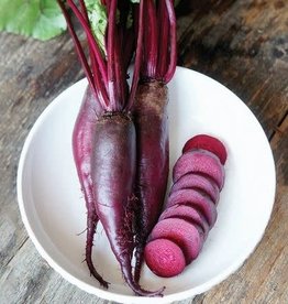 Territorial Seed Company BEET CYLINDRA 5 grams
