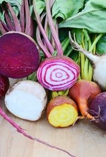 Territorial Seed Company BEET SPRING COLOR BLEND 5 grams