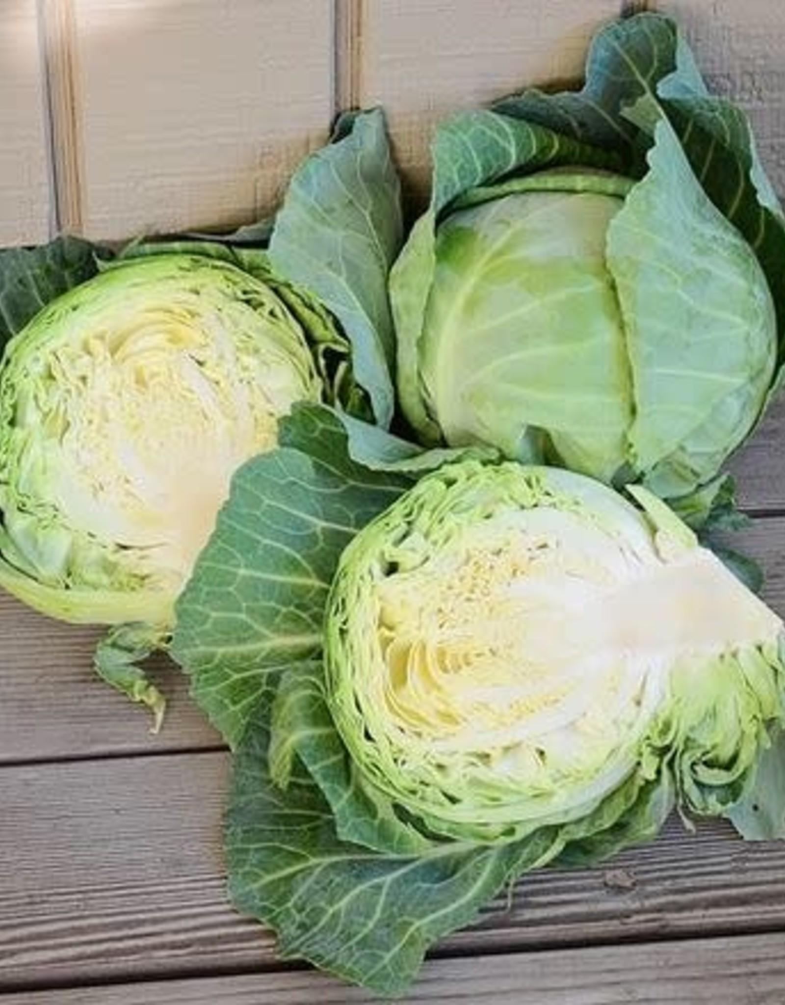 Territorial Seed Company CABBAGE QUICK START 1/2 gram