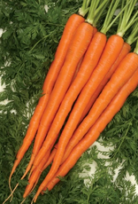 Territorial Seed Company CARROT SUGARSNAX 54 1 gram