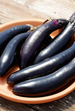 Territorial Seed Company EGGPLANT MILLIONAIRE 1/8 gram