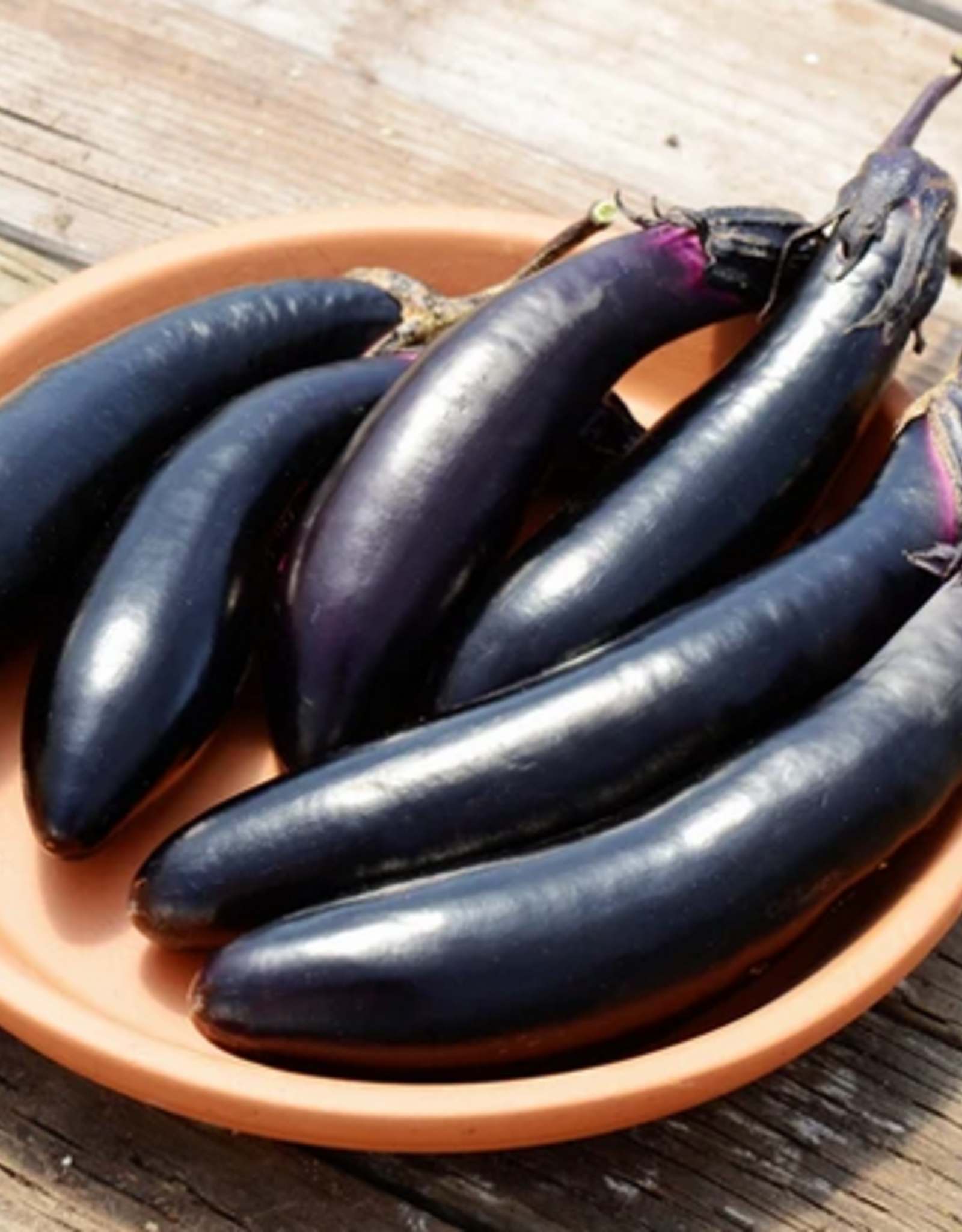 Territorial Seed Company EGGPLANT MILLIONAIRE 1/8 gram