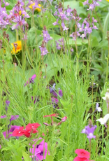 Territorial Seed Company MIX HUMMINGBIRD MIX 2 grams