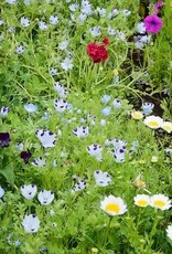 Territorial Seed Company MIX MOW NO MORE MIX 2 grams