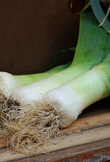 Territorial Seed Company LEEK GIANT MUSSELBURGH 1/2 gram