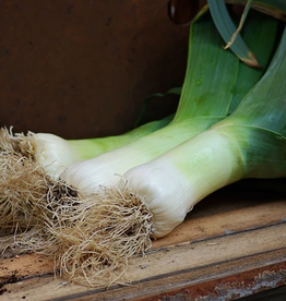 Territorial Seed Company LEEK GIANT MUSSELBURGH 1/2 gram