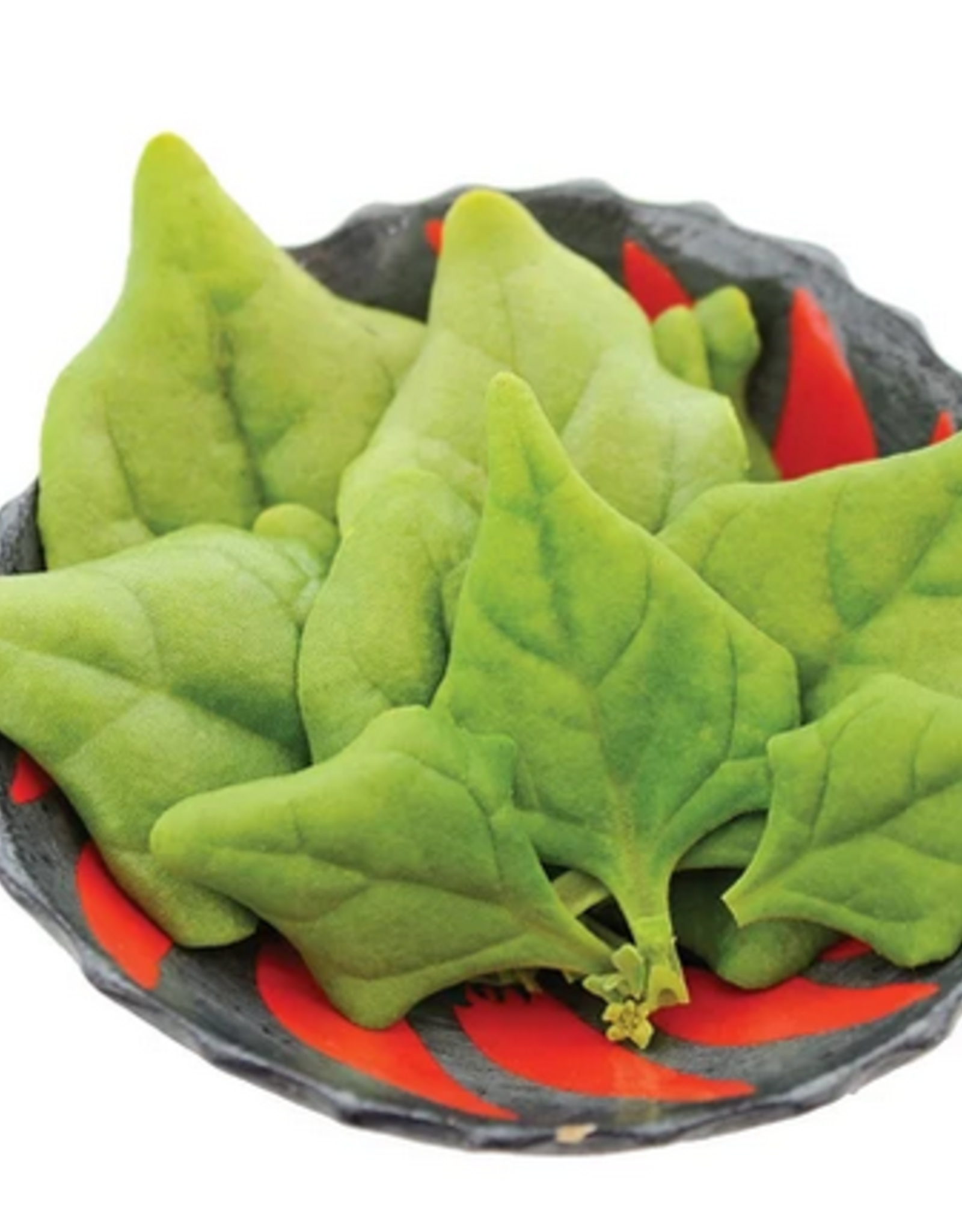 Territorial Seed Company NEW ZEALAND SPINACH NEW ZEALAND SPINACH 5 grams