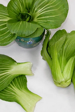 Territorial Seed Company PAC CHOI CHING-CHIANG 1 gram