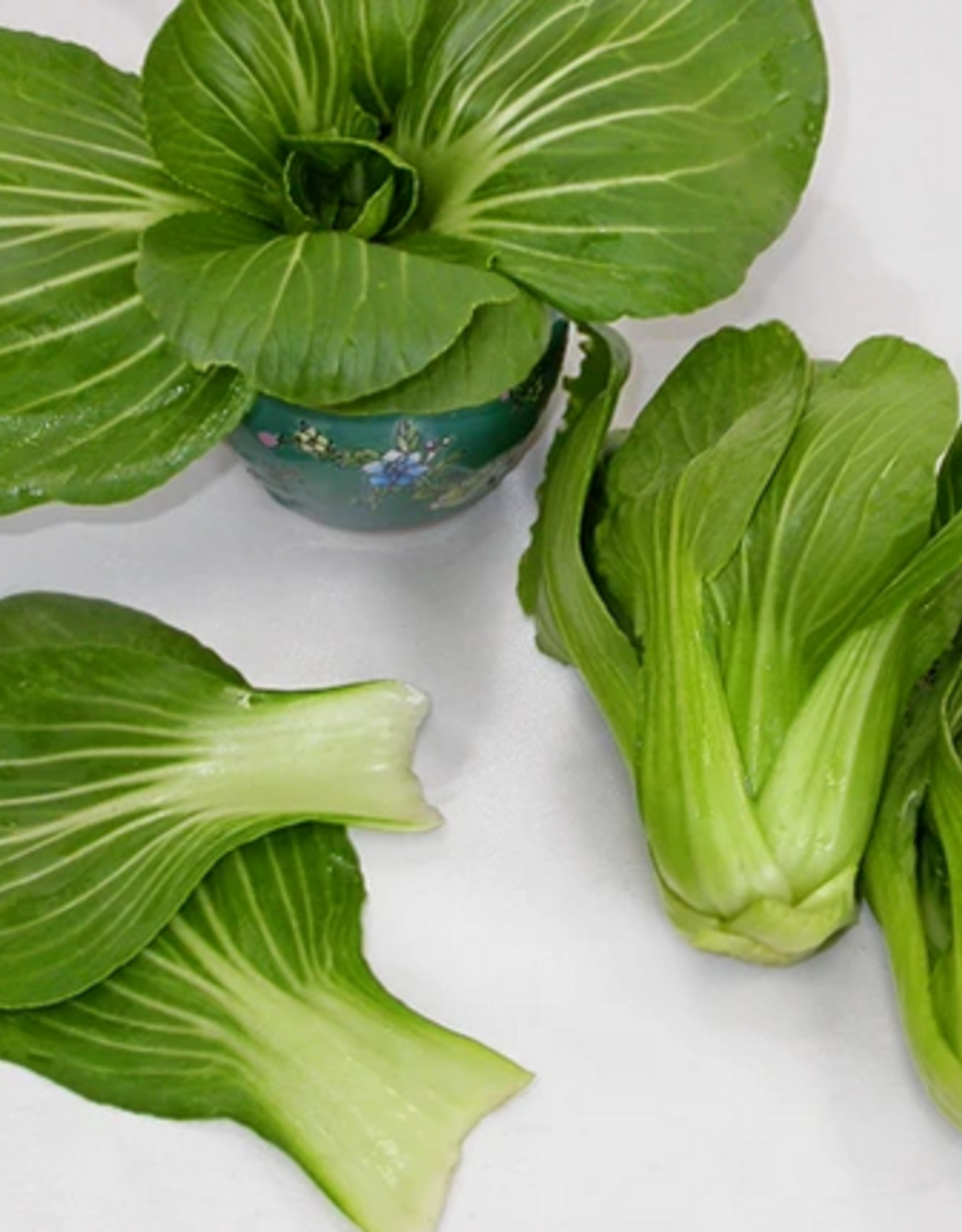 Territorial Seed Company PAC CHOI CHING-CHIANG 1 gram