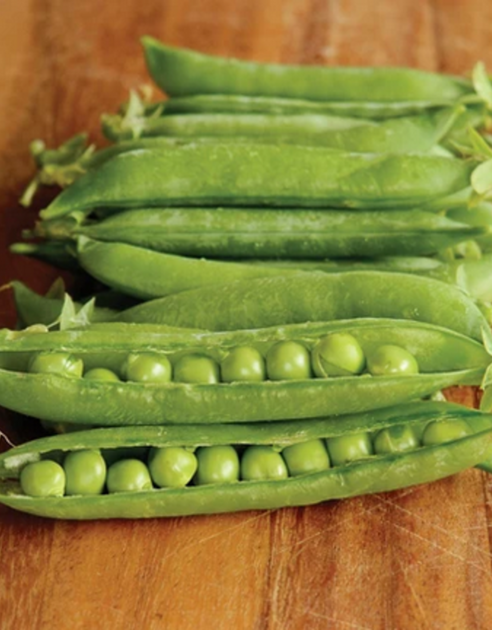 Territorial Seed Company PEA MAESTRO 1 ounce