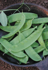 Territorial Seed Company PEA OREGON SUGAR POD II 1 ounce