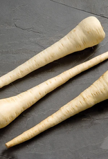 Territorial Seed Company PARSNIP WHITE SPEAR 2 grams