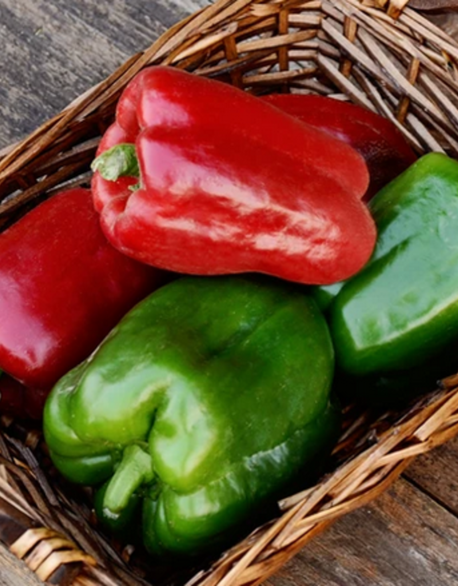 Territorial Seed Company PEPPER CALIFORNIA WONDER 300 1/4 gram