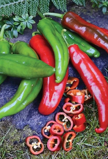 Territorial Seed Company PEPPER ANAHEIM COLLEGE 64 1/4 gram