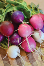 Territorial Seed Company RADISH EASTER EGG II 3 grams