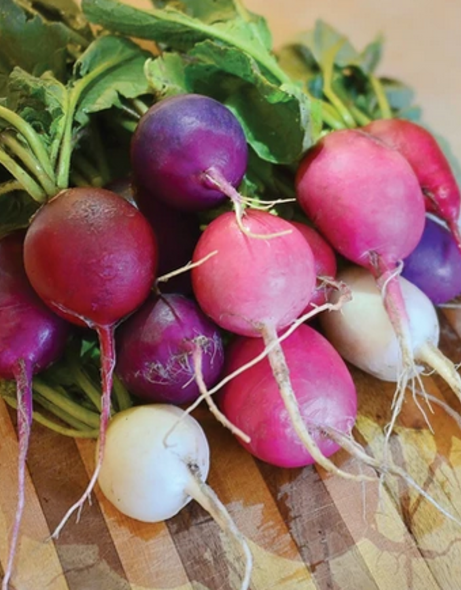 Territorial Seed Company RADISH EASTER EGG II 3 grams