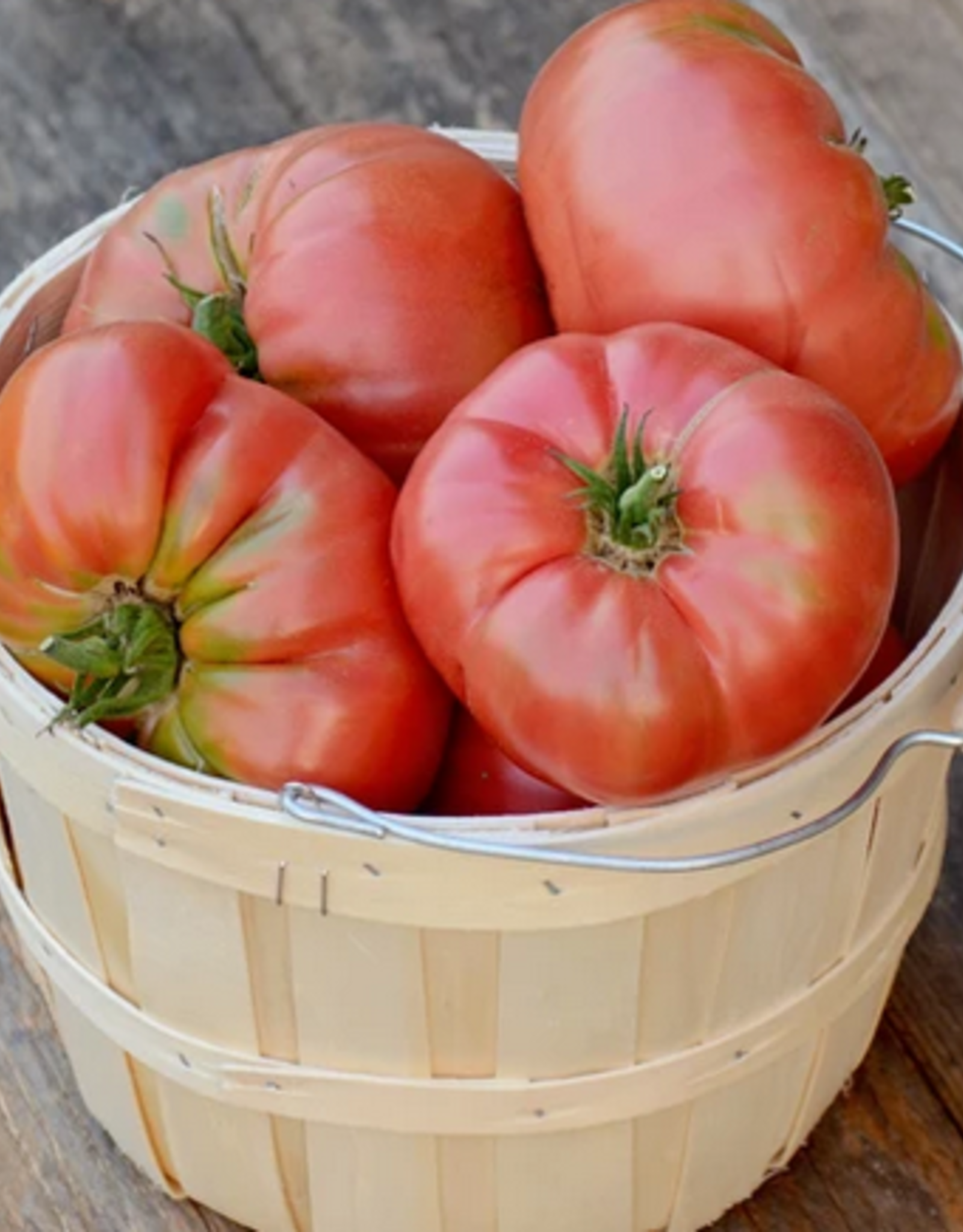 Territorial Seed Company TOMATO BRANDYWINE 1/8 gram