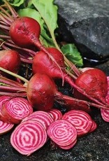 Territorial Seed Company BEET CHIOGGIA 5 grams