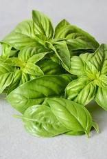 Territorial Seed Company BASIL SWEET BASIL 1/2 gram