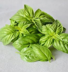 Territorial Seed Company BASIL SWEET BASIL 1/2 gram