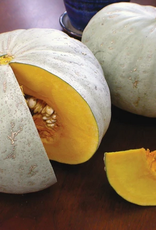 Territorial Seed Company SQUASH WINTER SWEET MEAT 7 grams