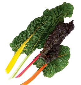 Territorial Seed Company SWISS CHARD BRIGHT LIGHTS 3 grams