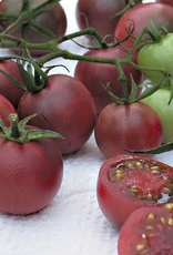 Territorial Seed Company TOMATO CHOCOLATE CHERRY 1/8 gram
