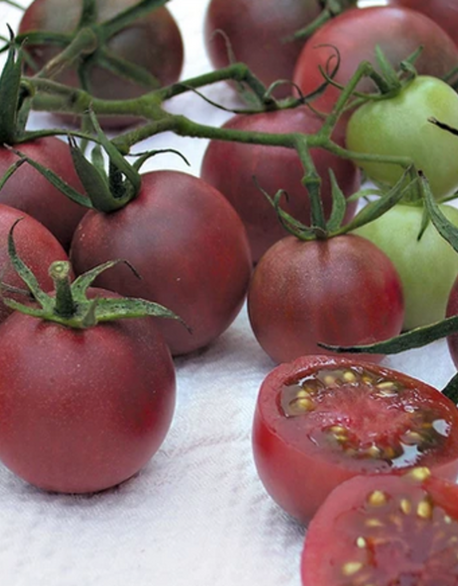 Territorial Seed Company TOMATO CHOCOLATE CHERRY 1/8 gram
