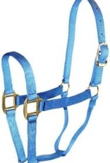 HALTER HORSE ADJ 8-11 AVG BERRY BLUE 1DA AVBY HAM
