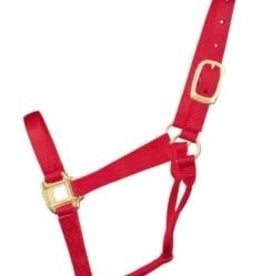 Hamilton Pet HALTER HORSE ADJ 8-11 AVG RED 1DA AVRD HAM