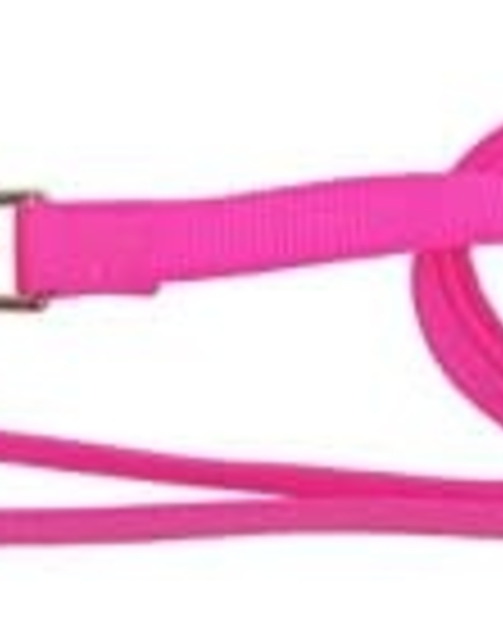 Hamilton Pet LEASH SINGLE THICK 1" 6FT HOT PINK