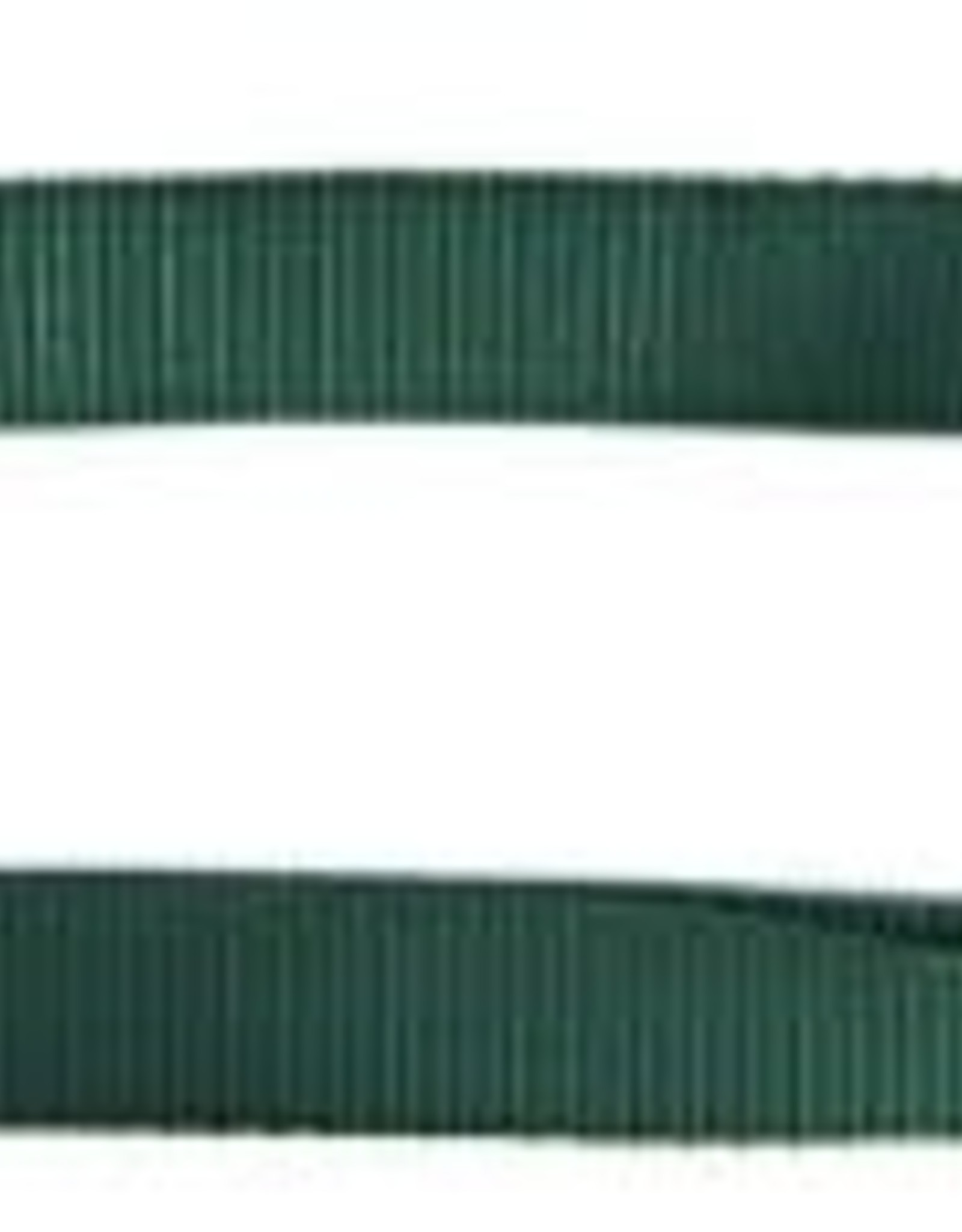 Hamilton Pet LEASH SINGLE THICK 5/8" 6FT DARK GREEN