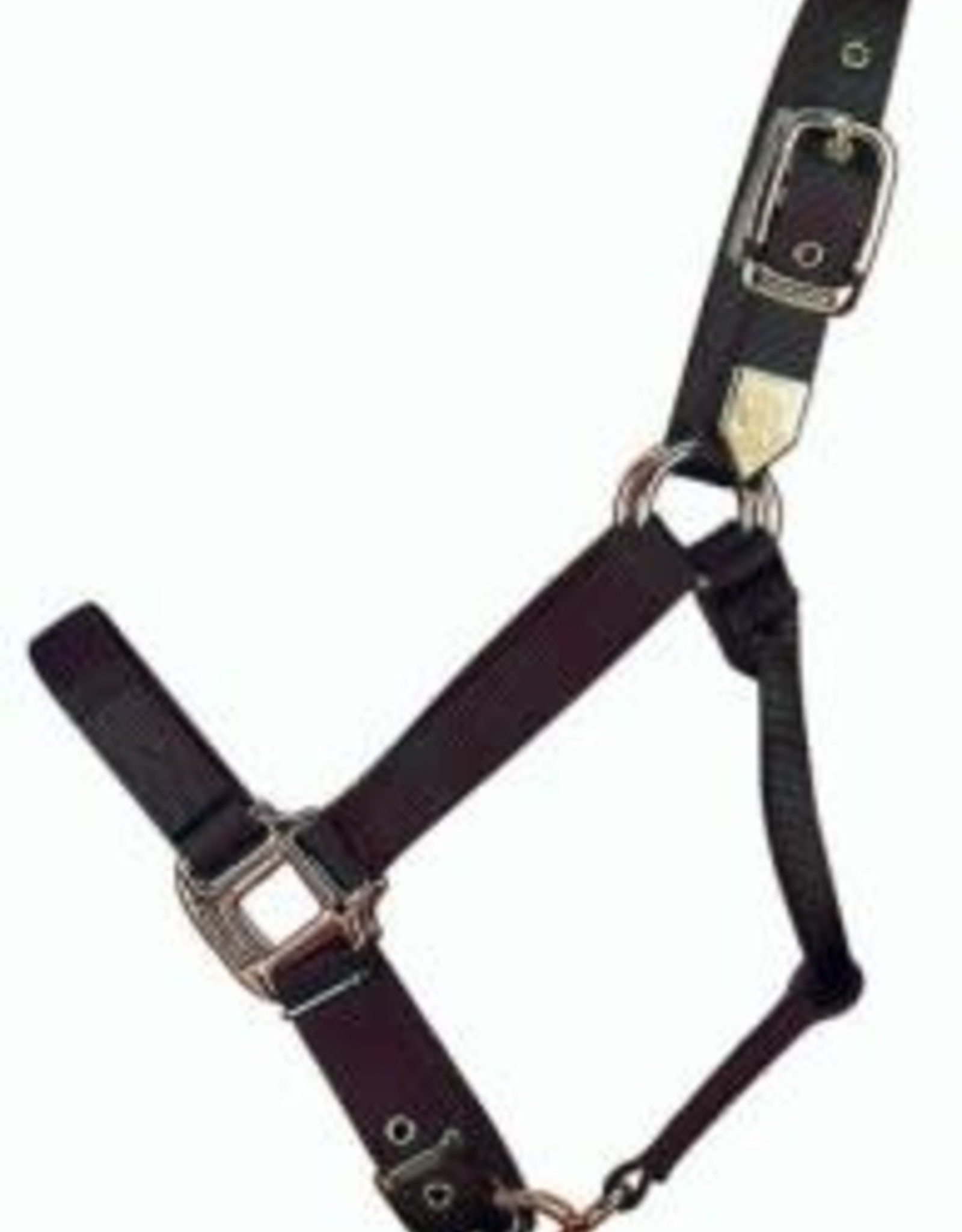 HAM HALTER HRS 1" ADJ 1DA BLK 11-16
