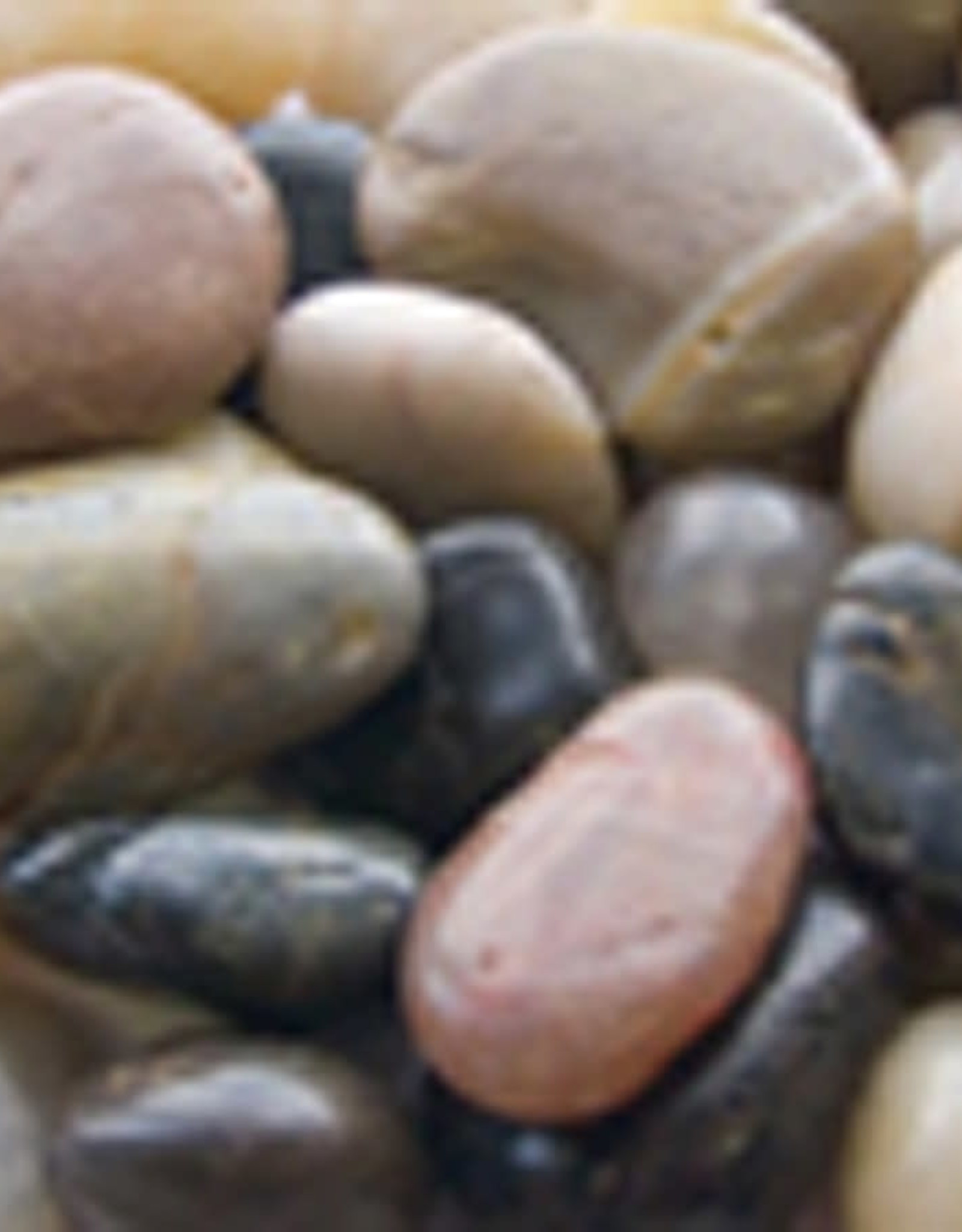 Panacea Polished River Rock Mix 2 lb