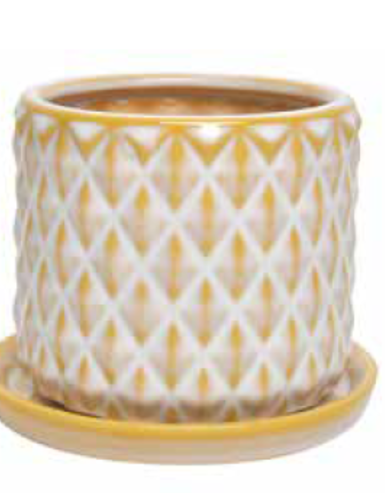 Diamond Straight Pot w/Attached Saucer - Yellow 5.5“ x 4.75”