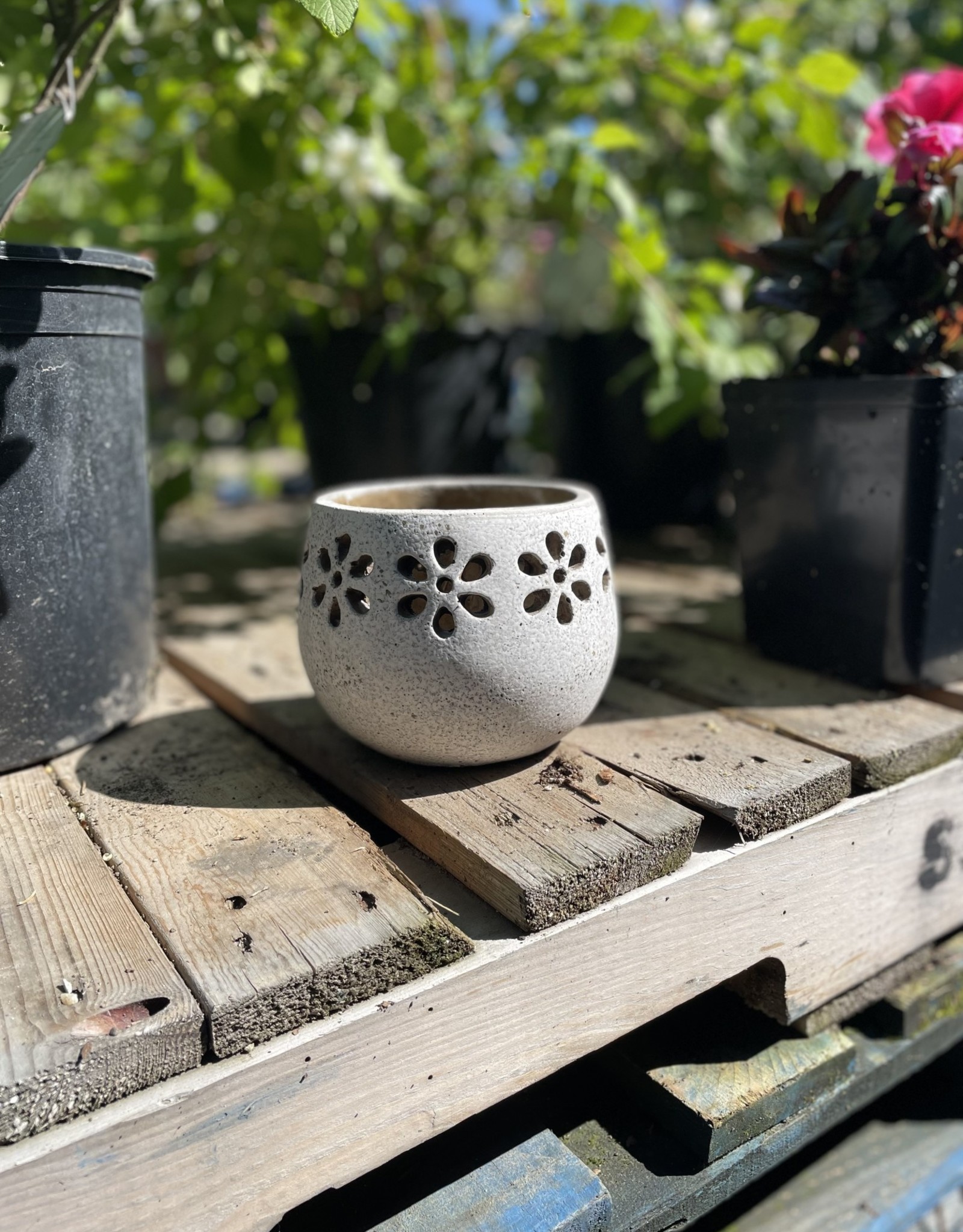 Belrose Planter – Natural Cement 5.75″ x 4.75″
