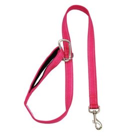 BayDog Hudson Leash Pink 6'