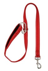 BayDog Hudson Leash Red 6'