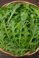High Mowing Seed HM Bellezia Arugula  1/32 OZ