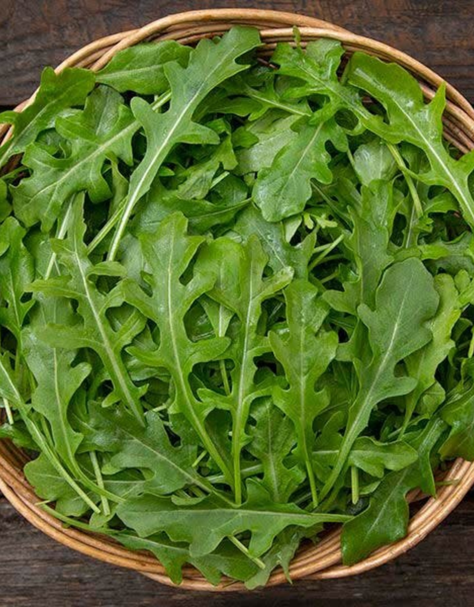 High Mowing Seed HM Bellezia Arugula  1/32 OZ