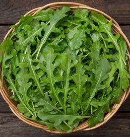 High Mowing Seed HM Bellezia Arugula  1/32 OZ