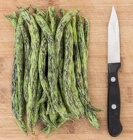 High Mowing Seed HM Rattlesnake Pole Bean  1 OZ