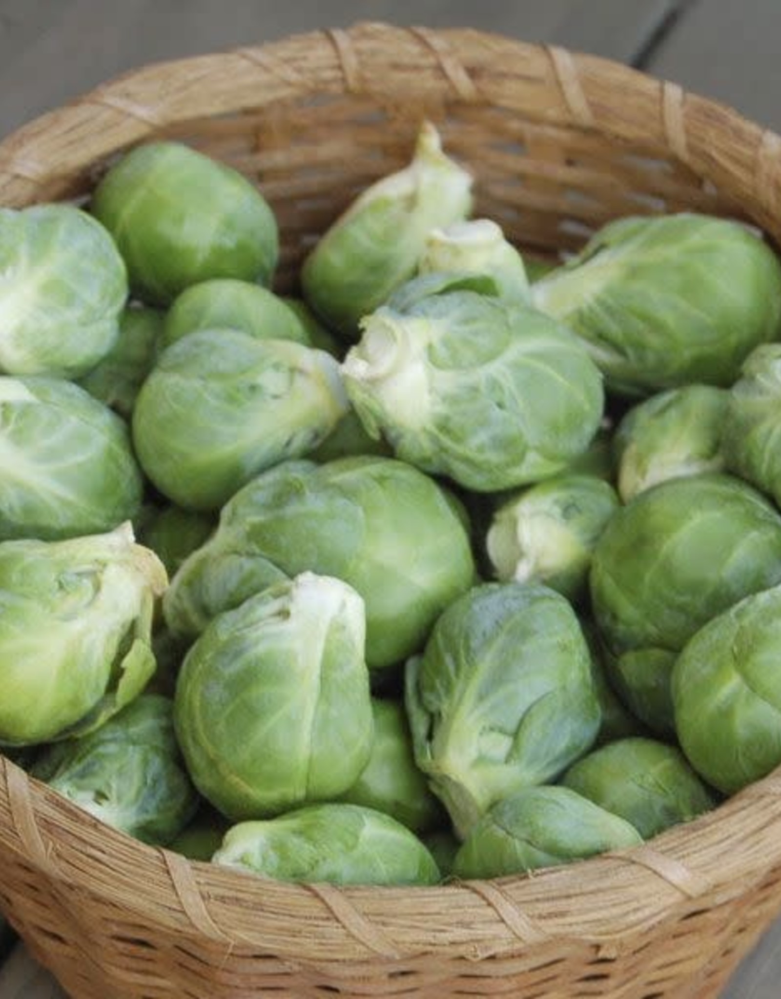 High Mowing Seed HM Nautic F1 Brussels Sprouts: 10 SEEDS