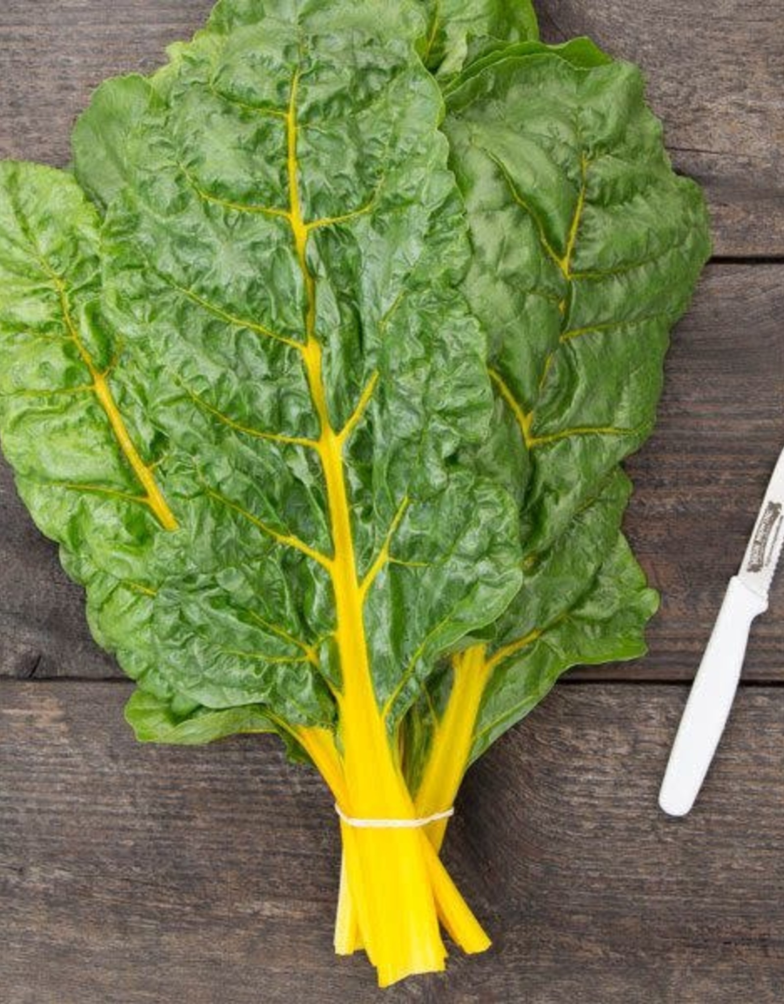 High Mowing Seed HM Sunset Chard  1/16 OZ