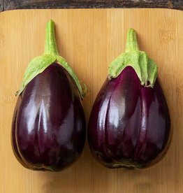 High Mowing Seed HM Black Beauty Eggplant: 1/64 OZ